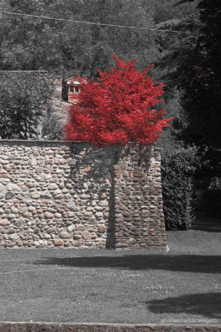 crescita-individuale-trasformazione-ph
